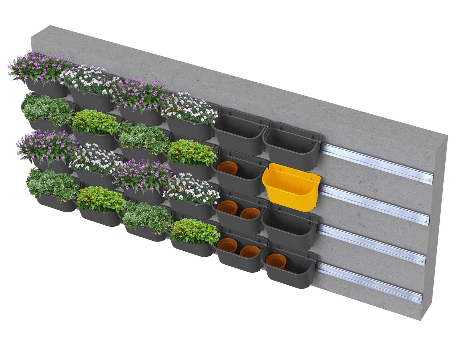 Modular planted wall arrangement mounted to a supporting wall